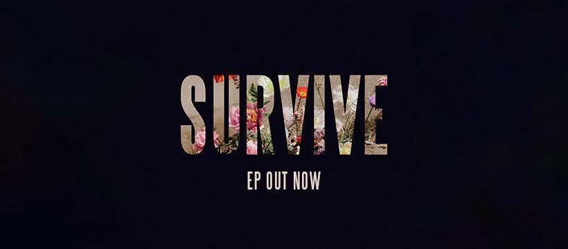 Lewis Capaldi Survive Lyrics T-Shirt - Unisex Cotton Tee alcyone213k