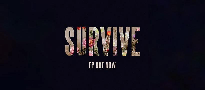 Lewis Capaldi Survive Lyrics T-Shirt - Unisex Cotton Tee - Alcyone213k