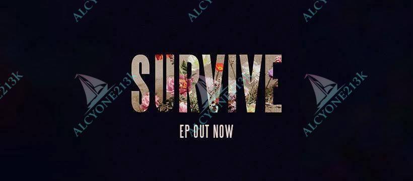 T-shirt Alcyone213k Lewis Capaldi Survive Lyrics T-Shirt - Unisex Cotton Tee