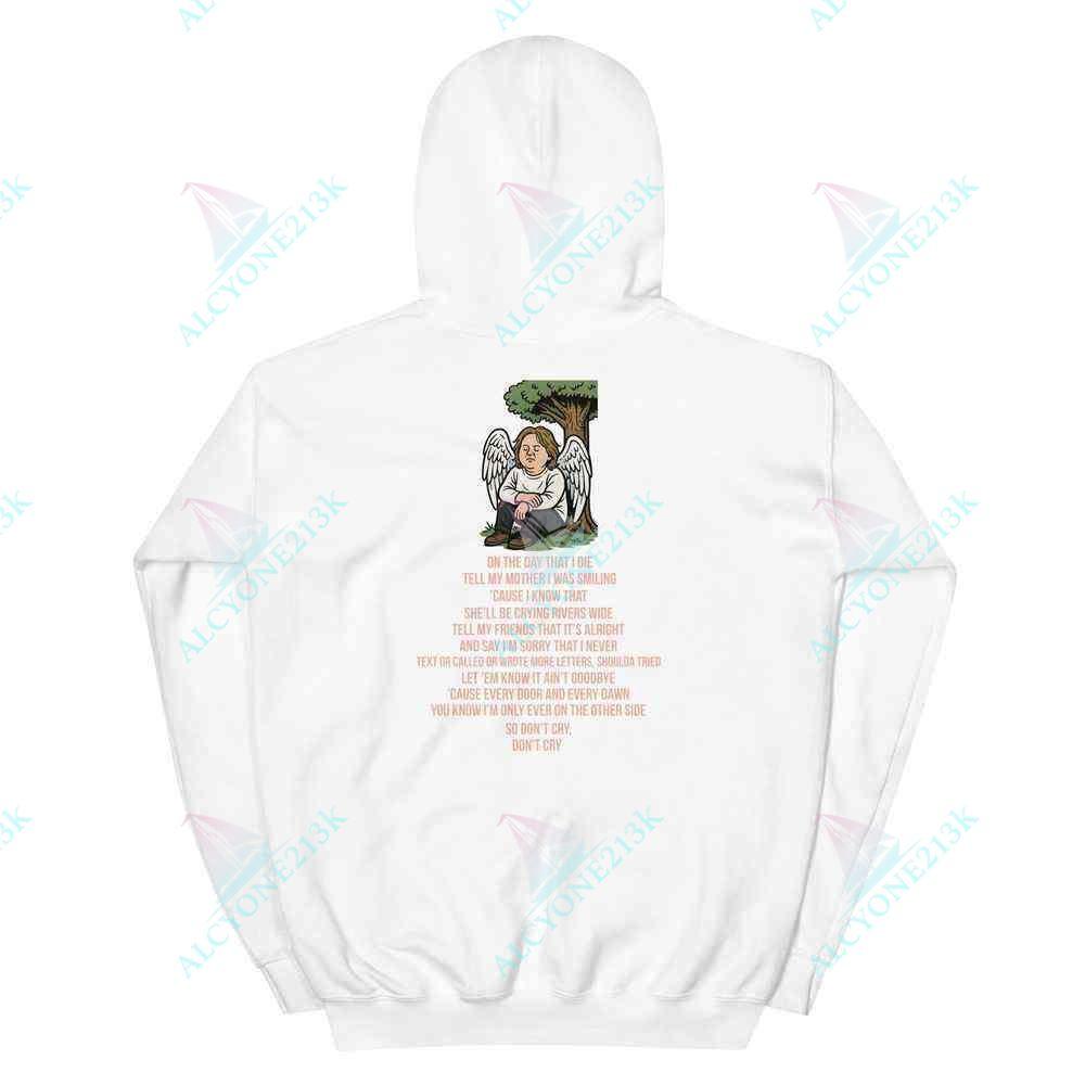 Alcyone213k Lewis Capaldi Hoodie - Eco-Friendly Black Pullover Unisex Lyrics Hoodie | Fan Merch - On The Day That I Die