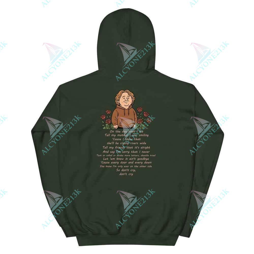 Hoodie Alcyone213k Lewis Capaldi Hoodie - "On The Day That I Die" Lyrics Unisex Sweatshirt