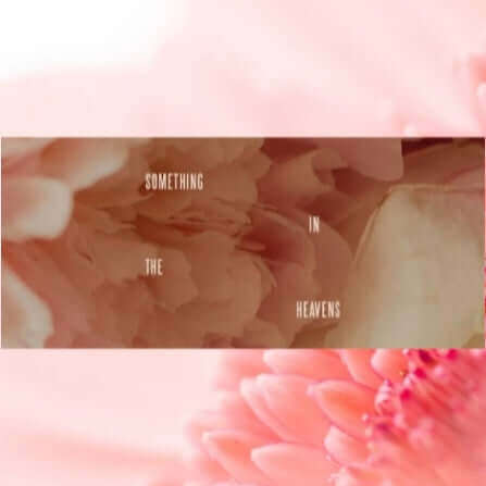 Lewis Capaldi Something In The Heavens Collection – Wear Your Heart floral design with text aesthetics.