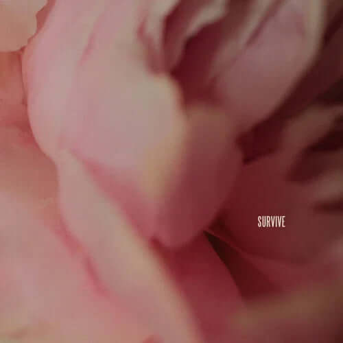 Lewis Capaldi Survive Song Collection – Emotional Journey Through Music with soft pink flower petals