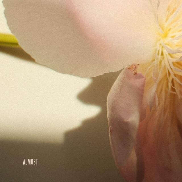 Lewis Capaldi Unreleased Song 'Almost': Exclusive Collection of a Rare Find, featuring a delicate flower illustration.