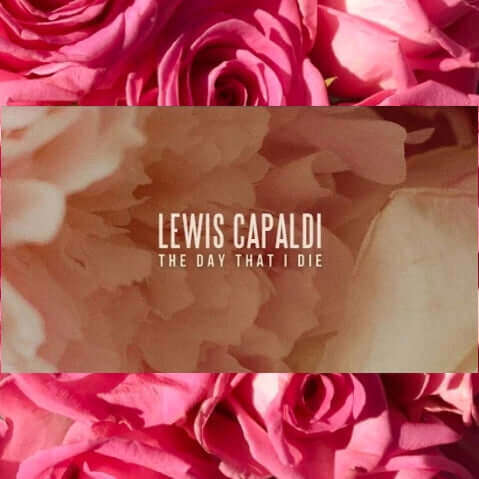 Lewis Capaldi Unreleased Song – On The Day That I Die with pink roses background