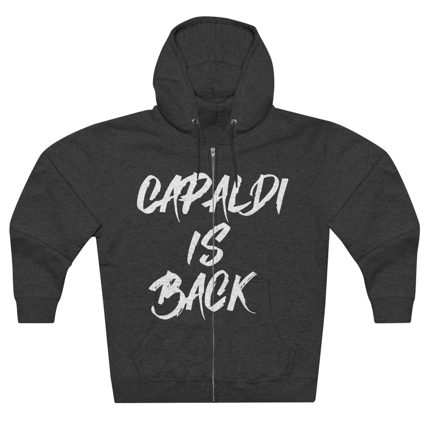 Lewis Capaldi Unisex Zip Hoodie - Capaldi is back