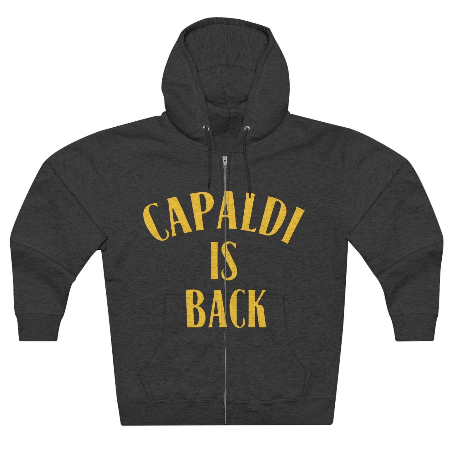 Lewis Capaldi Unisex Zip Hoodie - Capaldi is back