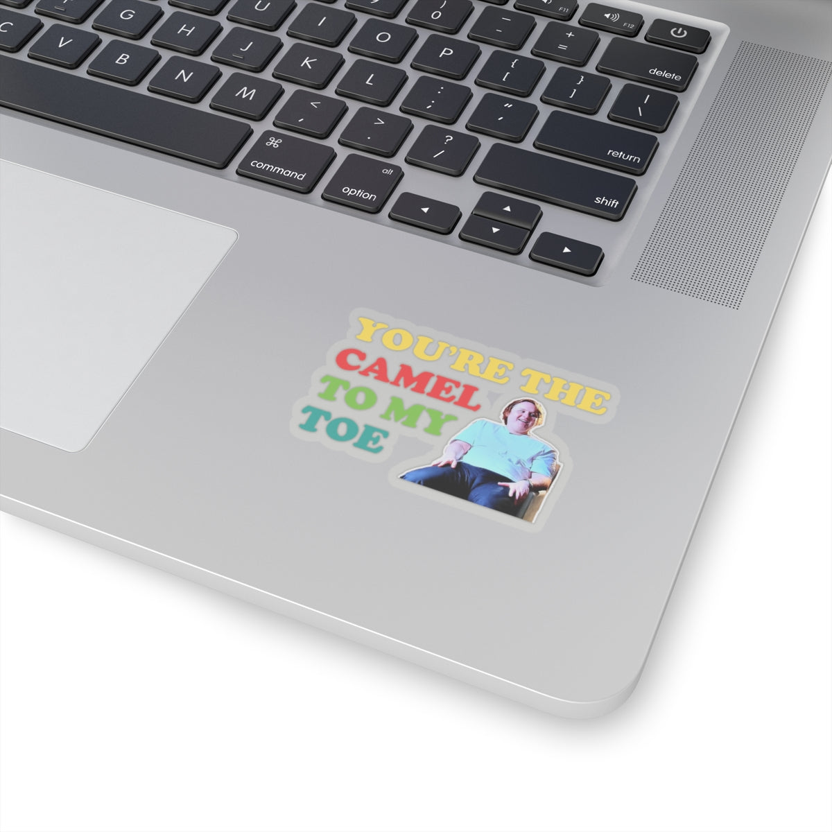 Lewis Capaldi Kiss-Cut Stickers - You're the camel to my toe