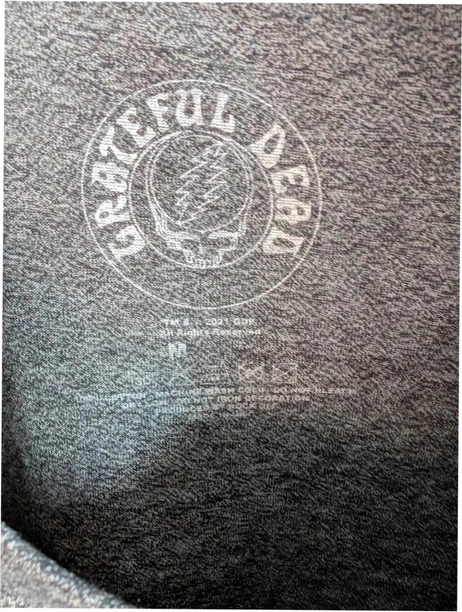 Grateful Dead grey graphic t-shirt featuring Steal Your Face skull and lightning bolt logo.