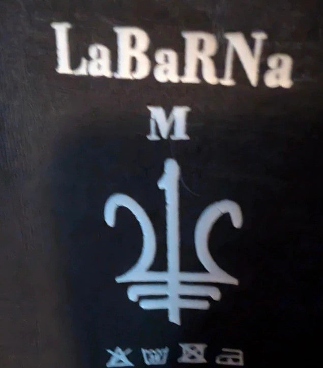 LaBarNa black graphic t-shirt featuring Ziggy Stardust lightning bolt astronaut print.