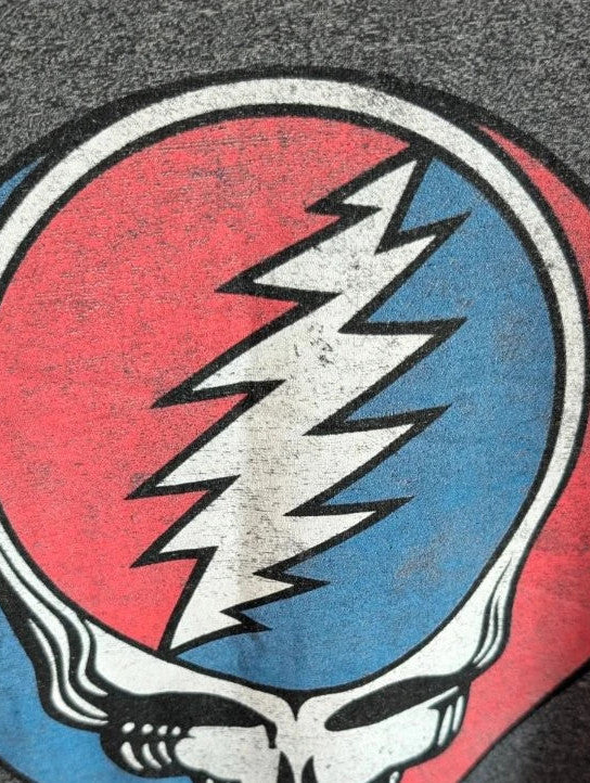 Grateful Dead grey graphic t-shirt featuring Steal Your Face skull and lightning bolt logo.