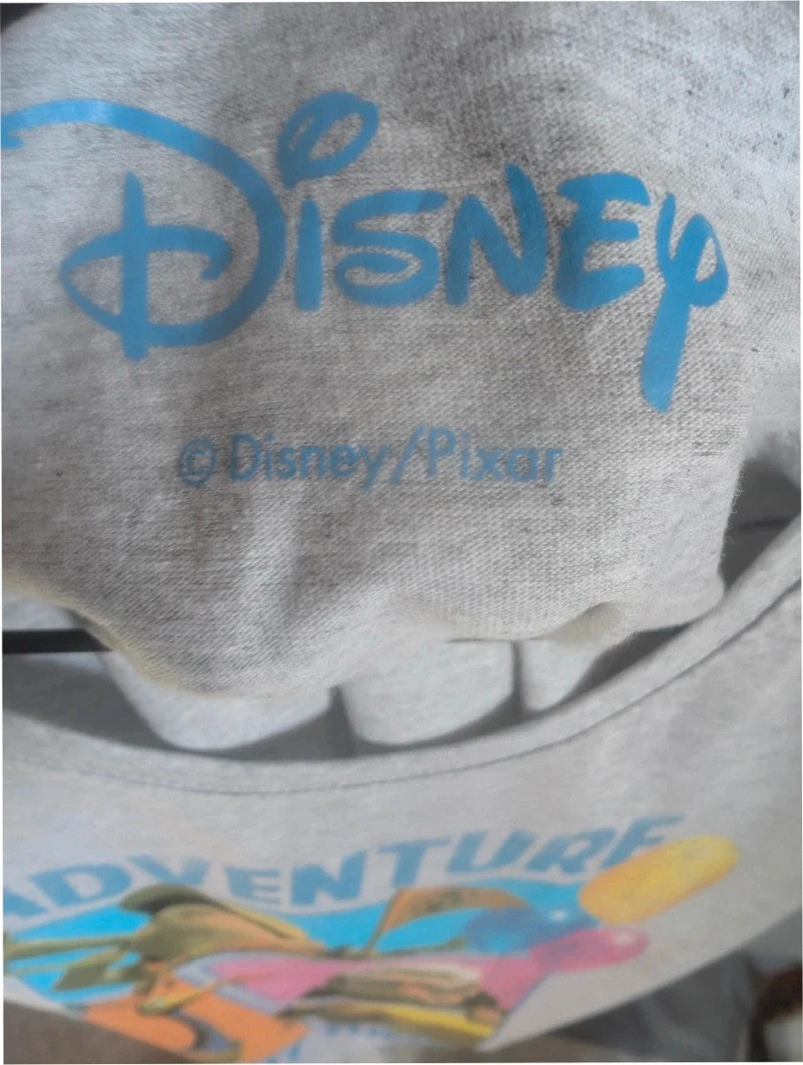 Disney grey marl pocket t-shirt featuring Adventure graphic with Carl, Russell, Dug, and Kevin.