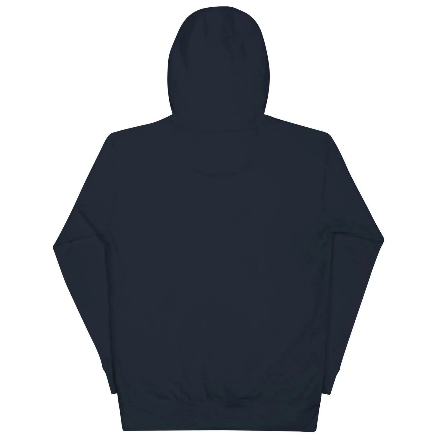 Lewis Capaldi Unisex Hoodie - Survive Lyrics | Comfortable Fanwear alcyone213k