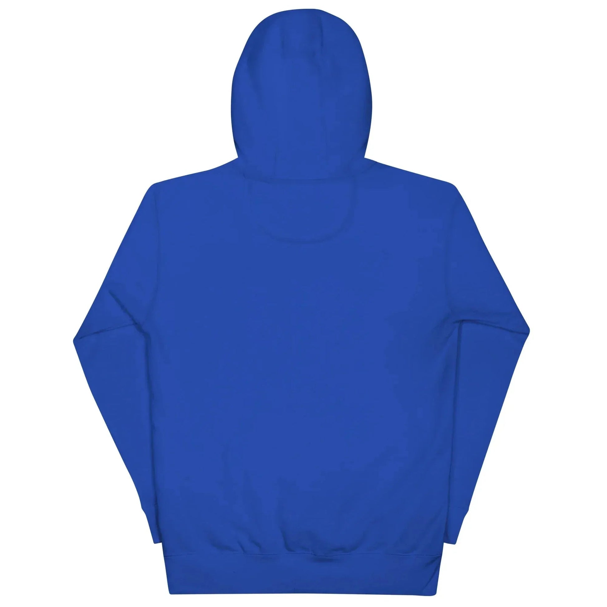 Lewis Capaldi Unisex Hoodie - Survive Lyrics | Comfortable Fanwear alcyone213k