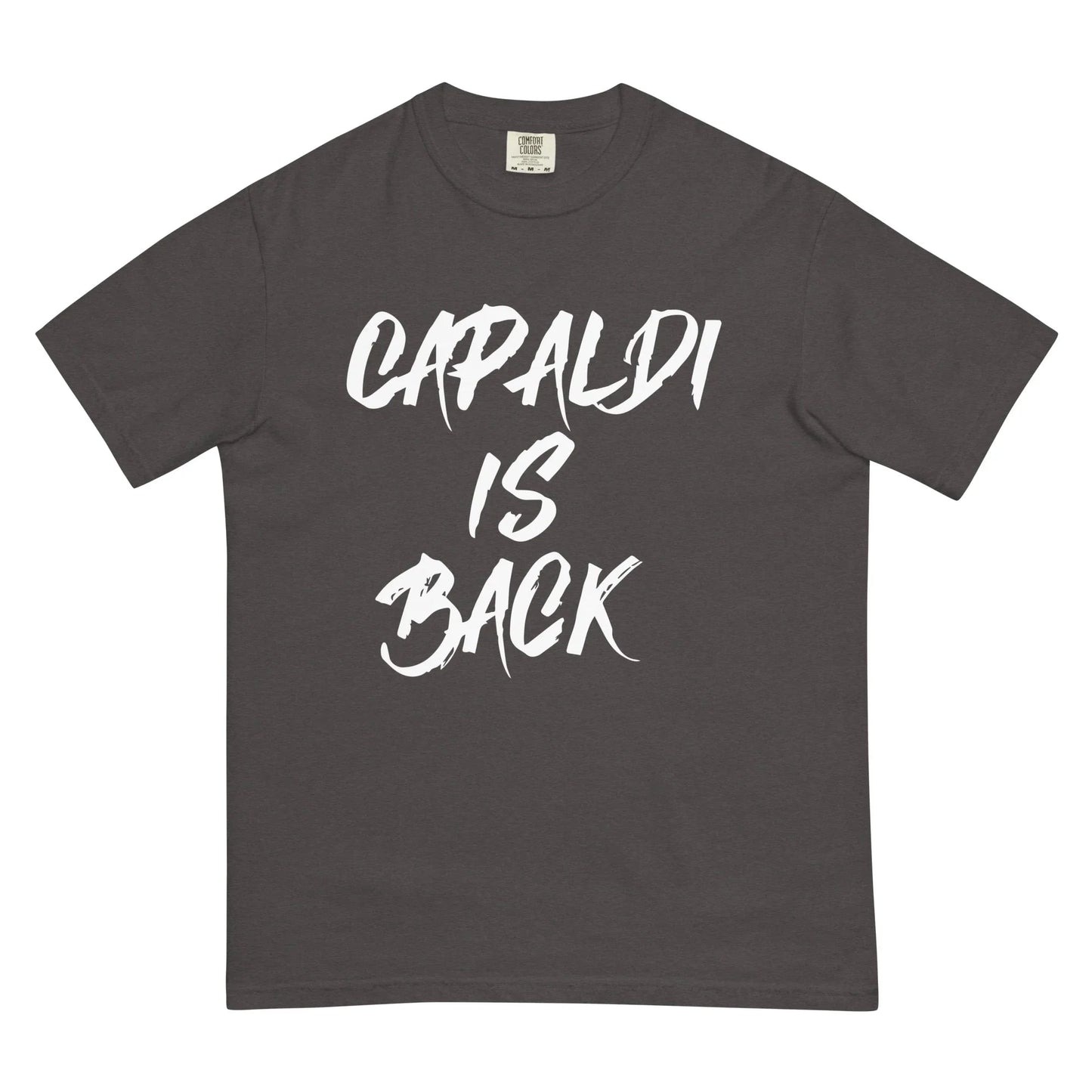 Lewis Capaldi T-Shirt | "Capaldi Is Back" Unisex Cotton Tee T-shirt Alcyone213k