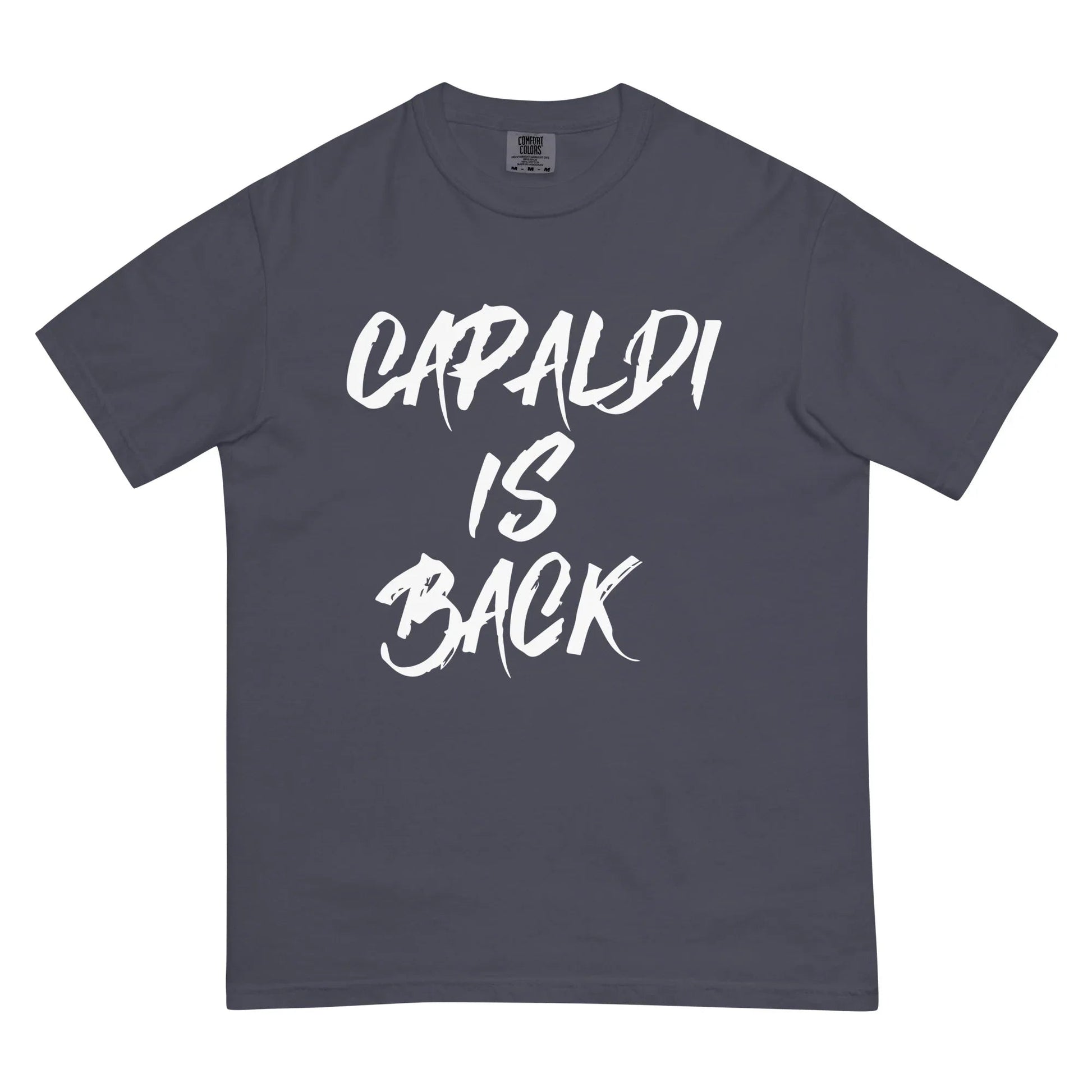 Lewis Capaldi T-Shirt | "Capaldi Is Back" Unisex Cotton Tee T-shirt Alcyone213k