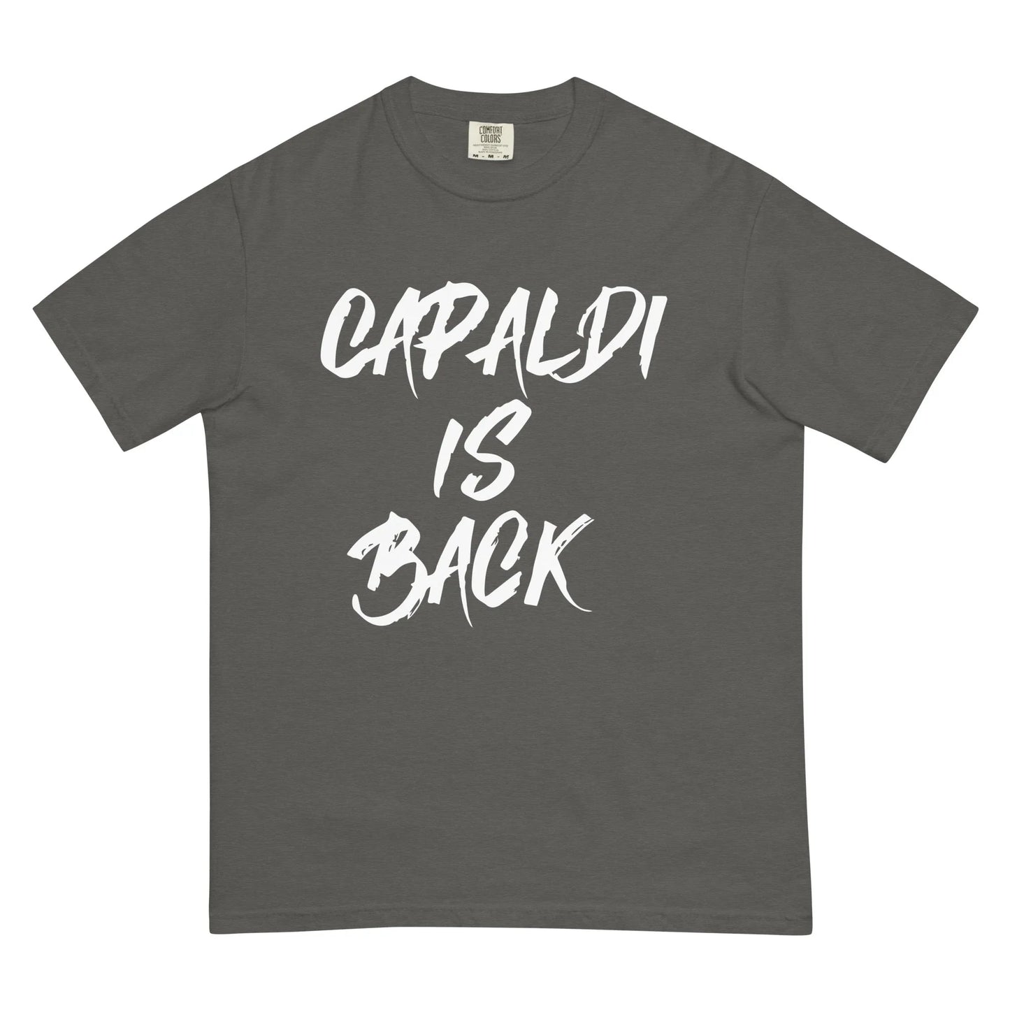 Lewis Capaldi T-Shirt | "Capaldi Is Back" Unisex Cotton Tee T-shirt Alcyone213k