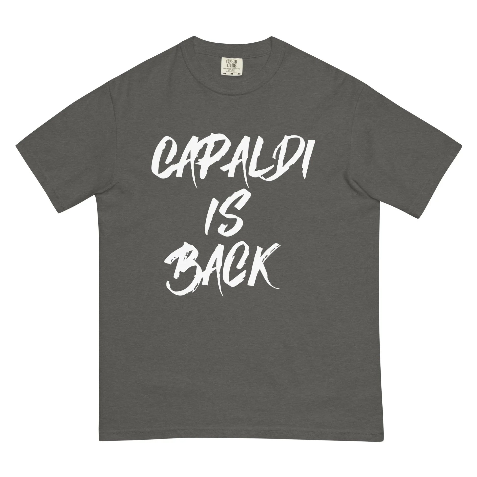Lewis Capaldi T-Shirt | "Capaldi Is Back" Unisex Cotton Tee T-shirt Alcyone213k