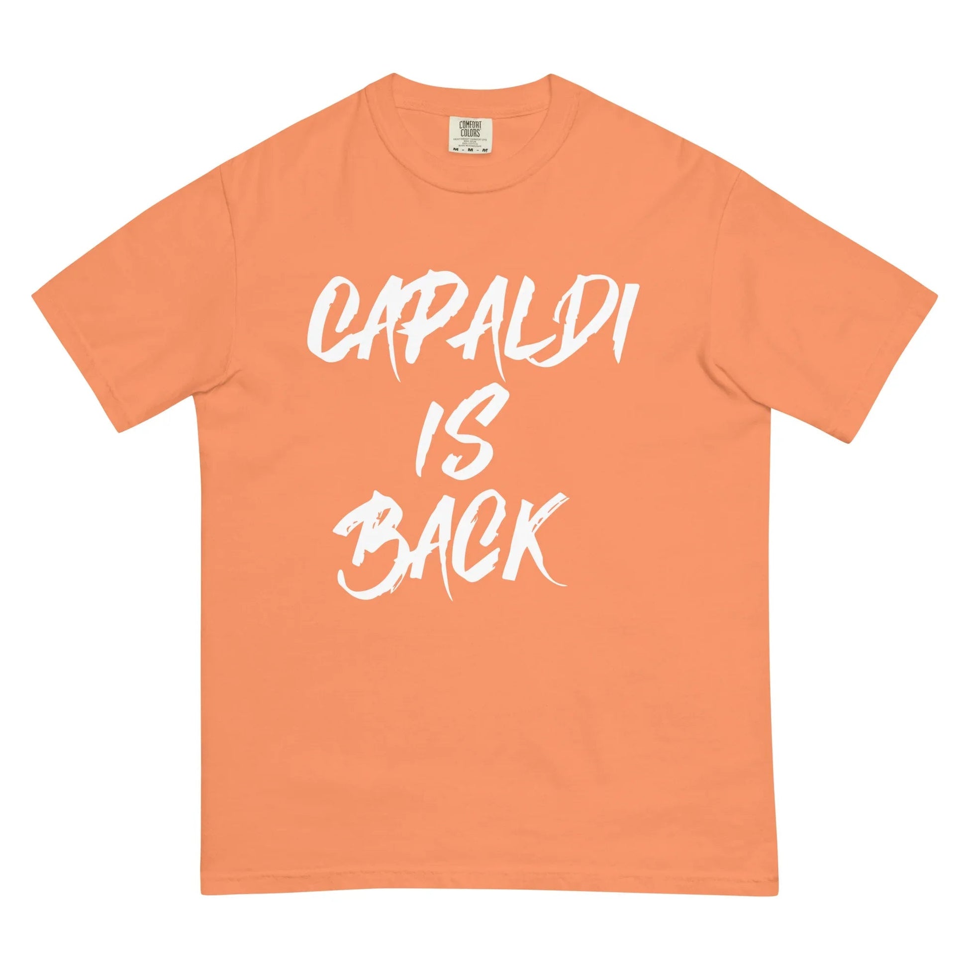 Lewis Capaldi T-Shirt | "Capaldi Is Back" Unisex Cotton Tee T-shirt Alcyone213k