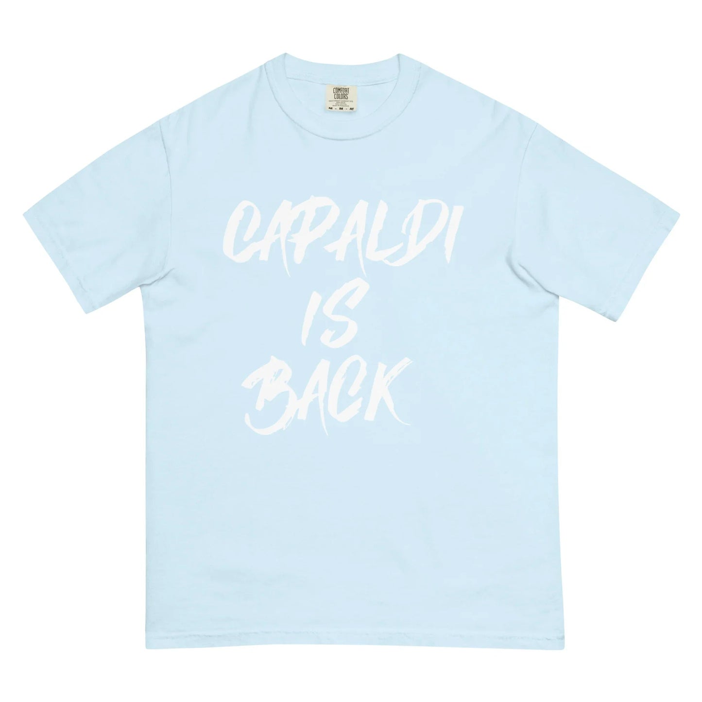 Lewis Capaldi T-Shirt | "Capaldi Is Back" Unisex Cotton Tee T-shirt Alcyone213k