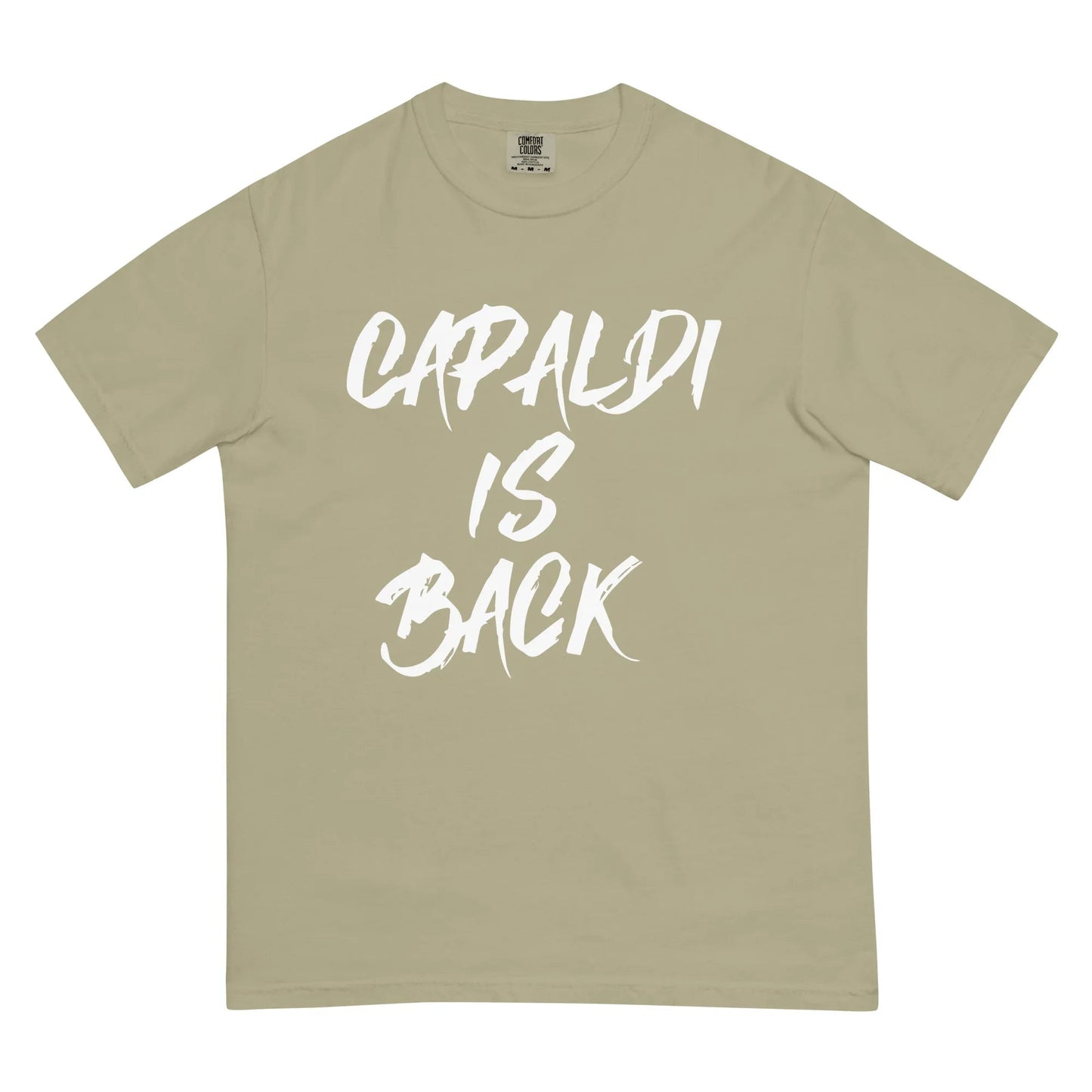 Lewis Capaldi T-Shirt | "Capaldi Is Back" Unisex Cotton Tee T-shirt Alcyone213k