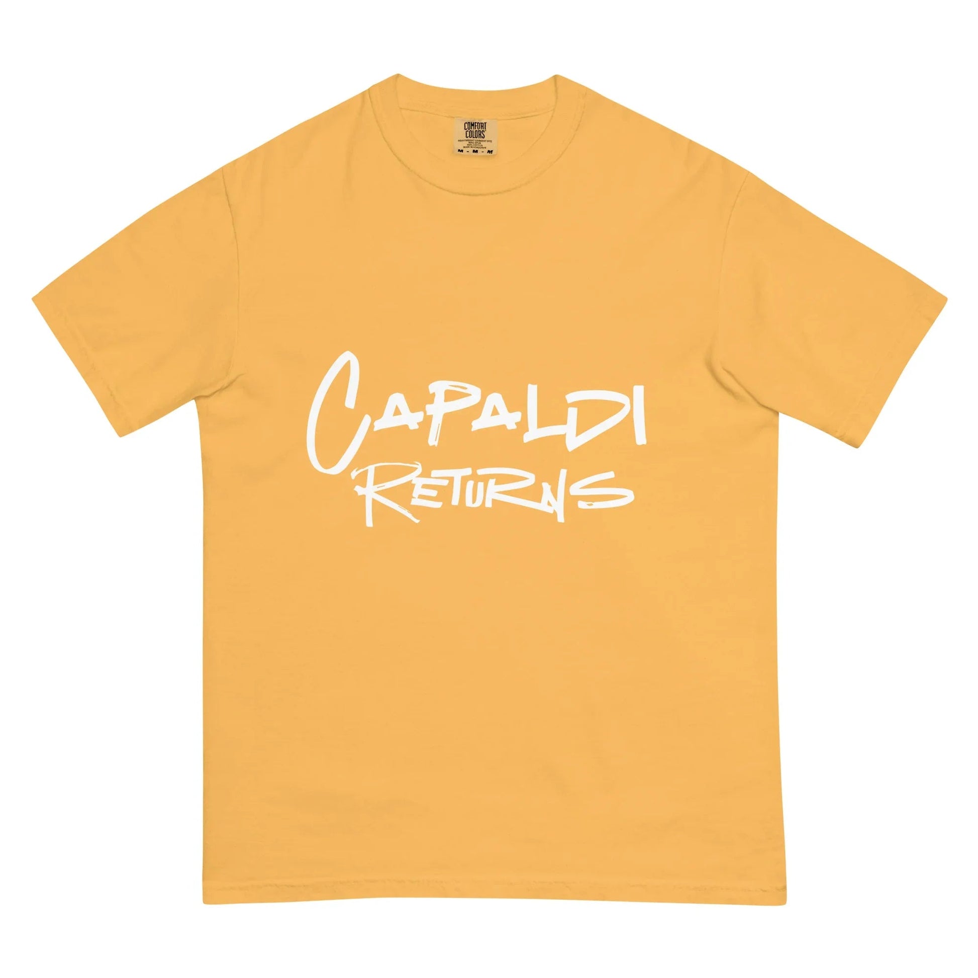 Lewis Capaldi T-Shirt - 100% Cotton Unisex Music Tee T-shirt Alcyone213k