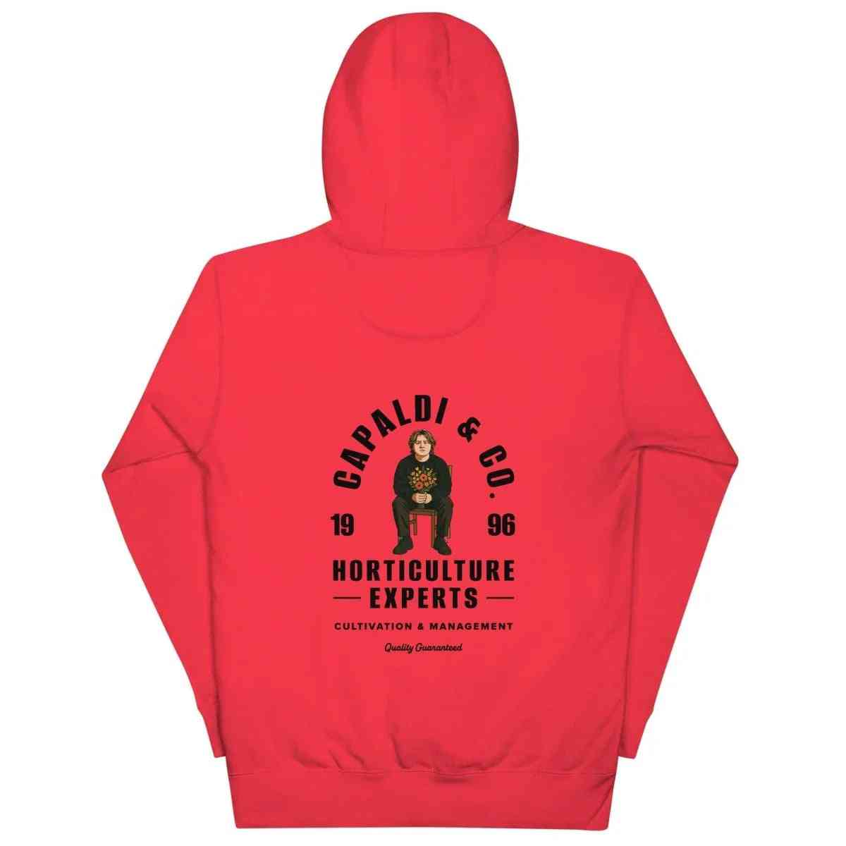Lewis Capaldi Unisex Hoodie - Cotton Polyester Blend Fan Merch Alcyone213k