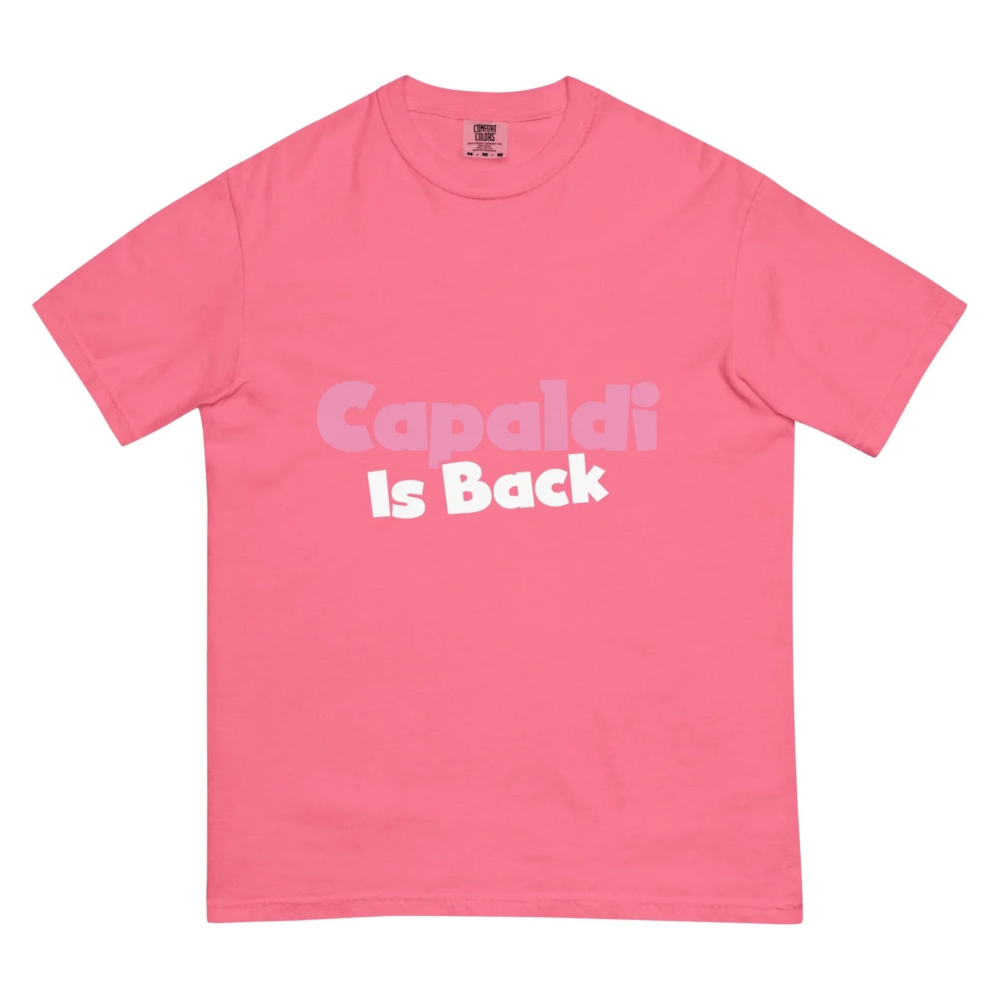 Lewis Capaldi Unisex T-Shirt | Artist Tribute Fan Apparel T-shirt Alcyone213k