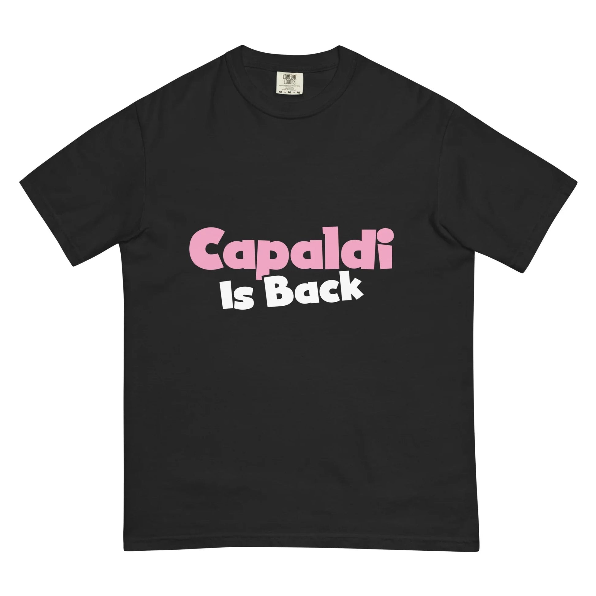 Lewis Capaldi Unisex T-Shirt | Artist Tribute Fan Apparel T-shirt Alcyone213k