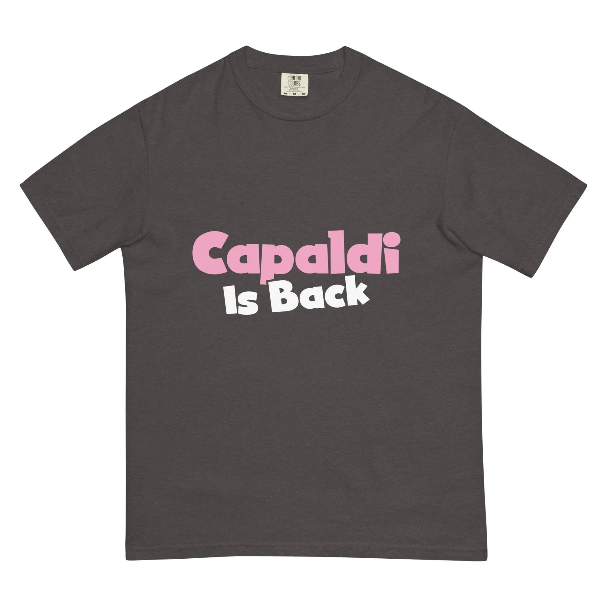 Lewis Capaldi Unisex T-Shirt | Artist Tribute Fan Apparel T-shirt Alcyone213k