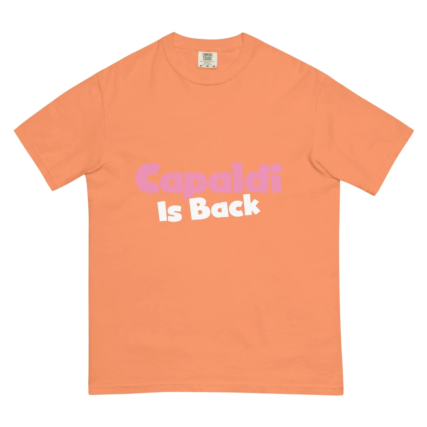 Lewis Capaldi Unisex T-Shirt | Artist Tribute Fan Apparel T-shirt Alcyone213k