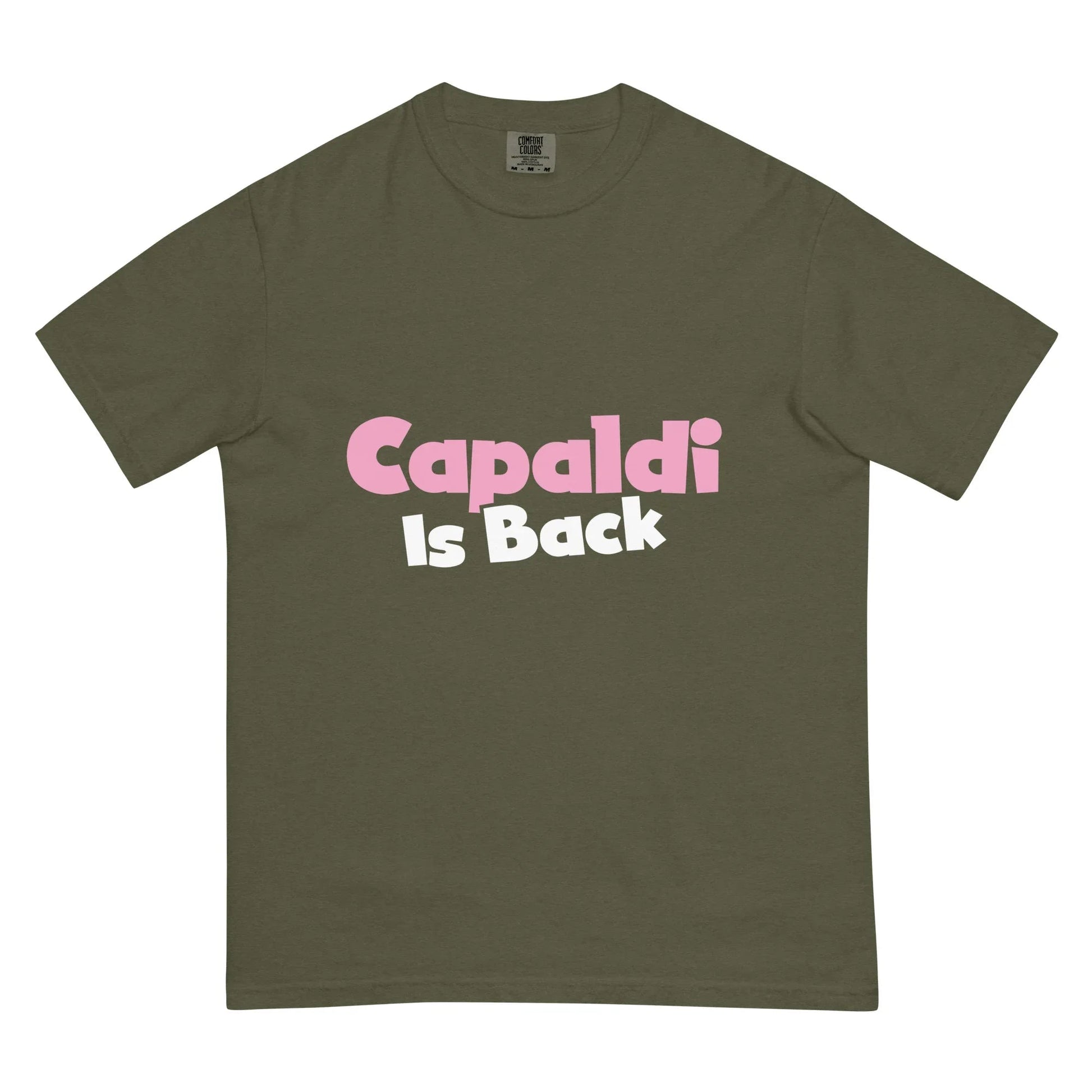 Lewis Capaldi Unisex T-Shirt | Artist Tribute Fan Apparel T-shirt Alcyone213k