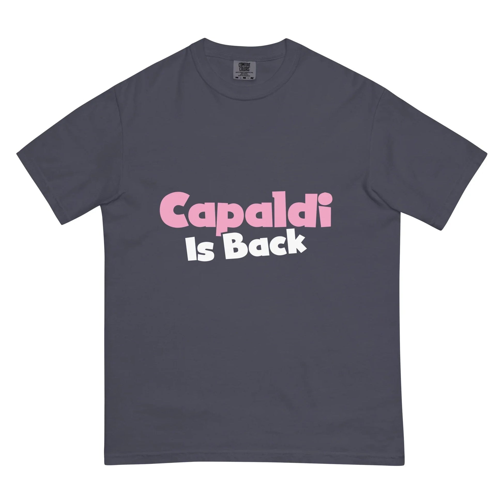 Lewis Capaldi Unisex T-Shirt | Artist Tribute Fan Apparel T-shirt Alcyone213k