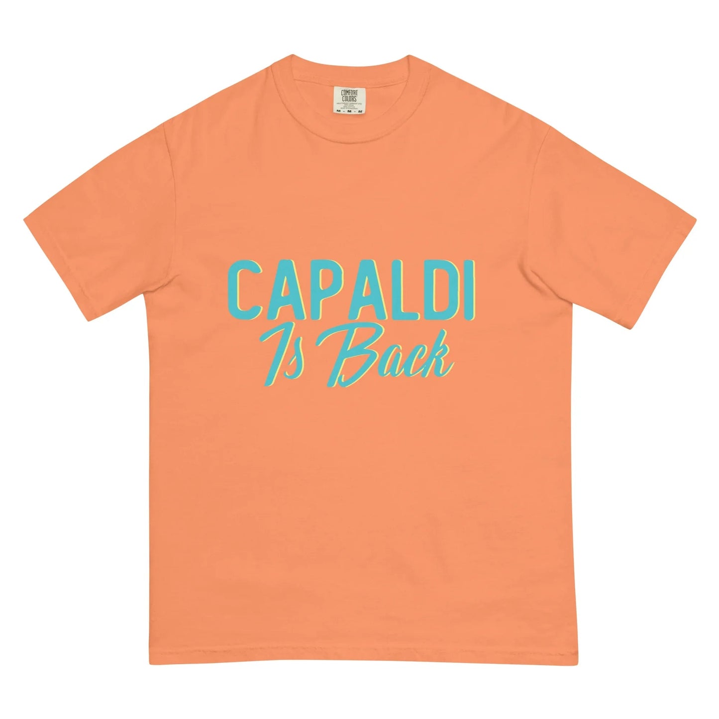 Lewis Capaldi Unisex Cotton T-Shirt | Official Capaldi Is Back Merch T-shirt Alcyone213k