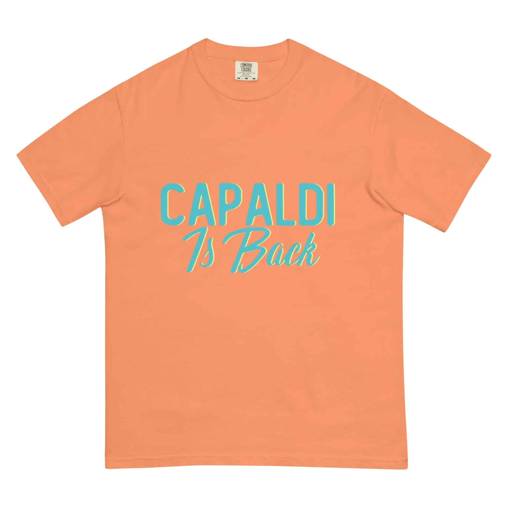 Lewis Capaldi Unisex Cotton T-Shirt | Official Capaldi Is Back Merch T-shirt Alcyone213k