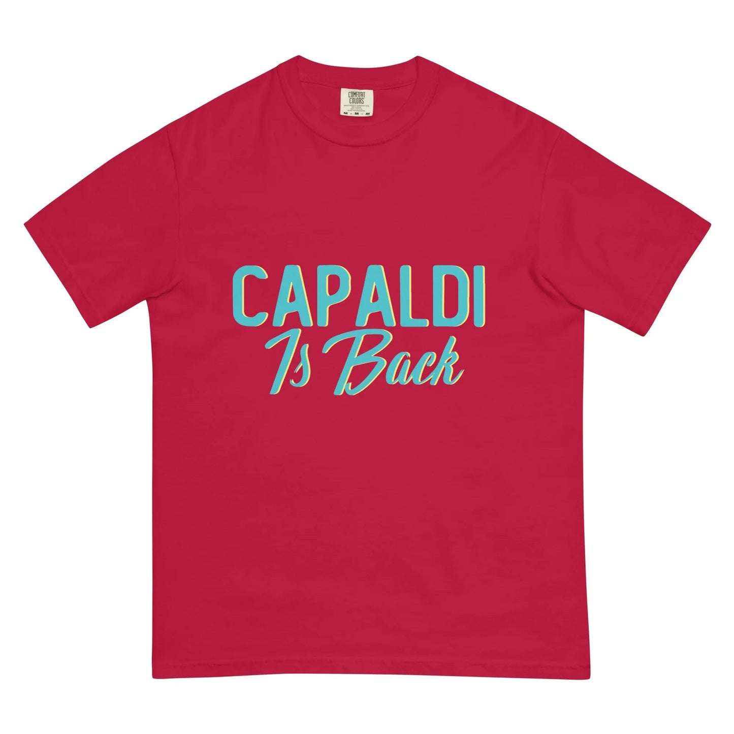 Lewis Capaldi Unisex Cotton T-Shirt | Official Capaldi Is Back Merch T-shirt Alcyone213k