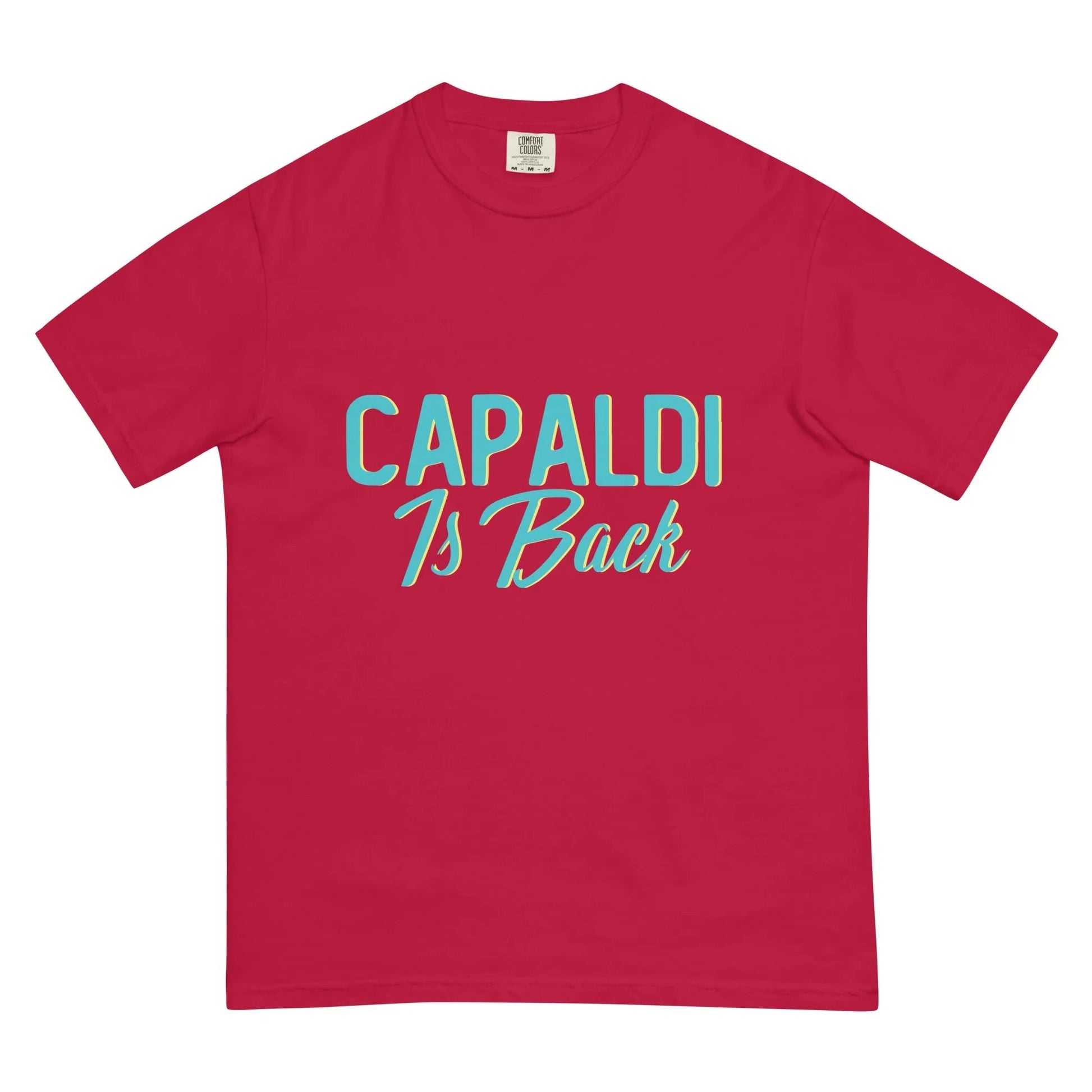 Lewis Capaldi Unisex Cotton T-Shirt | Official Capaldi Is Back Merch T-shirt Alcyone213k