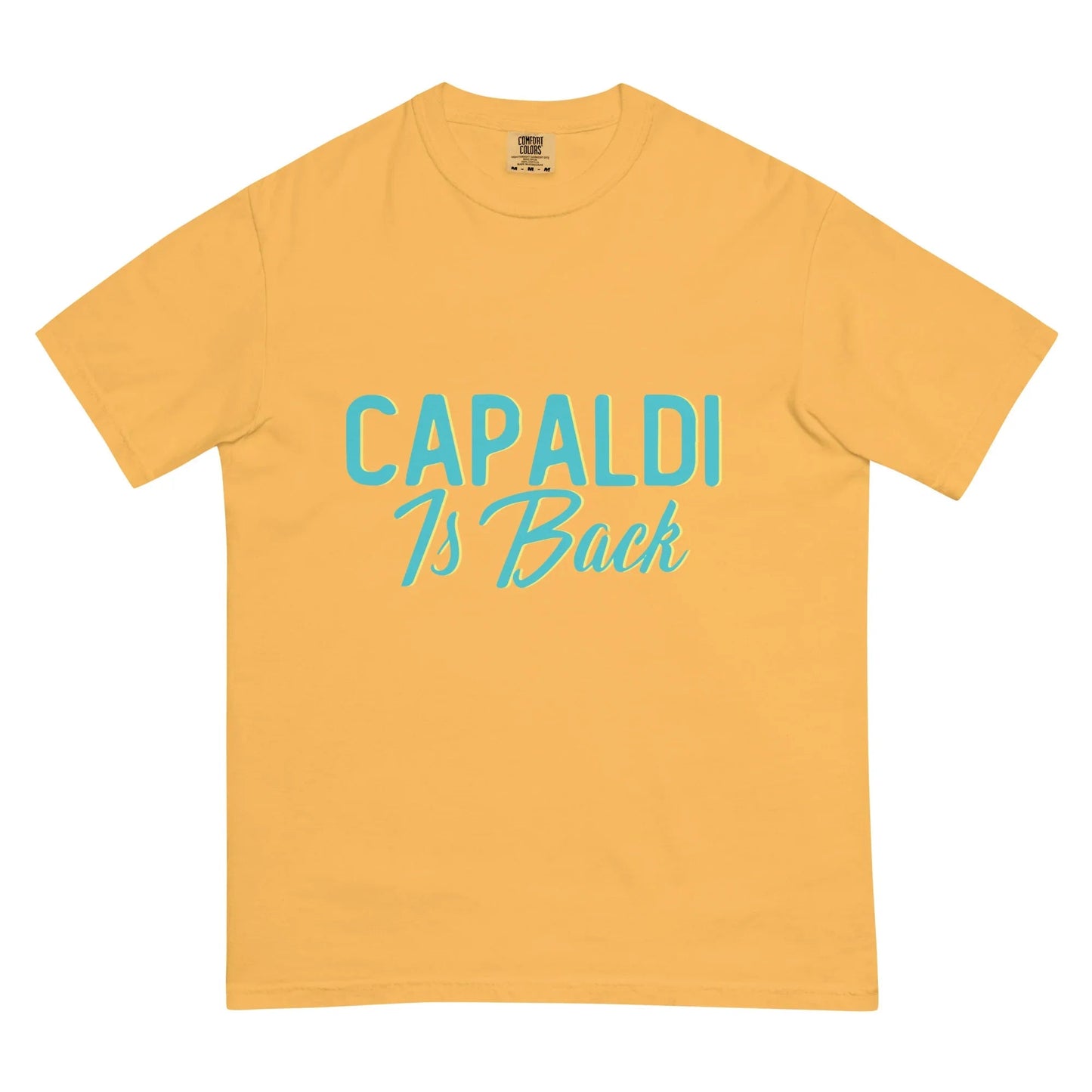 Lewis Capaldi Unisex Cotton T-Shirt | Official Capaldi Is Back Merch T-shirt Alcyone213k