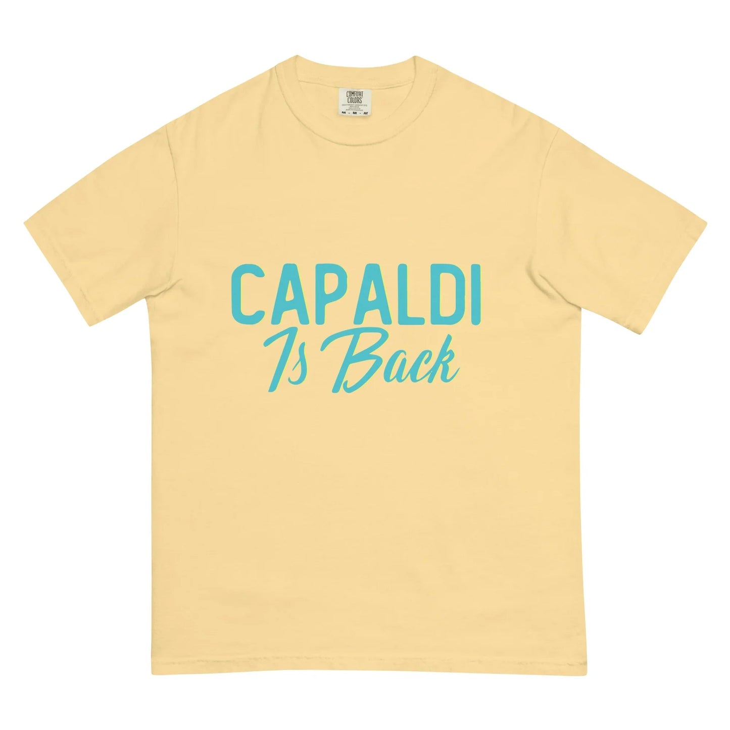 Lewis Capaldi Unisex Cotton T-Shirt | Official Capaldi Is Back Merch T-shirt Alcyone213k