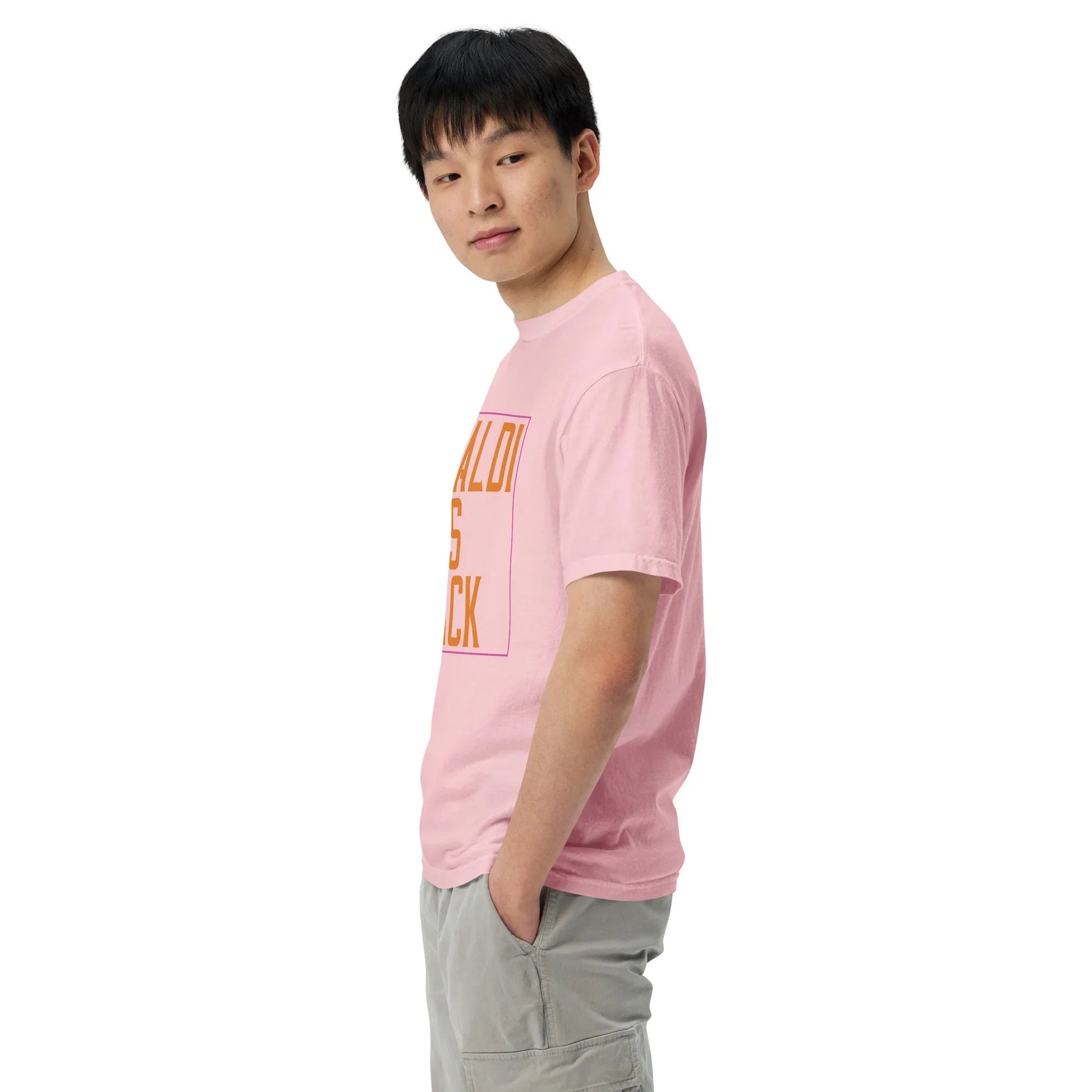 Lewis Capaldi T-Shirt | Cotton Blend Unisex Fan Apparel T-shirt Alcyone213k